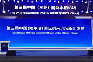 星空电子设计&amp;第三届国际水稻博览会·三亚