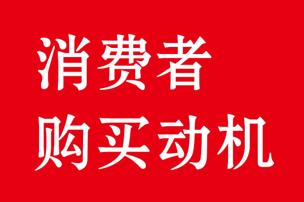 消费者购买动机分析·星空电子品牌策划设计