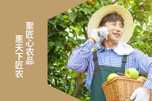 星空电子设计x匠农社品牌形象设计落地